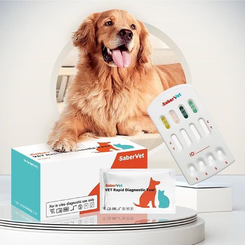 贾第虫病快速诊断检测 - SaberVet CDV/CPV/CCV/GIA Ag - Hangzhou Antigenne Technology Co. Ltd - 犬瘟热 / 兽用 / 用于犬类