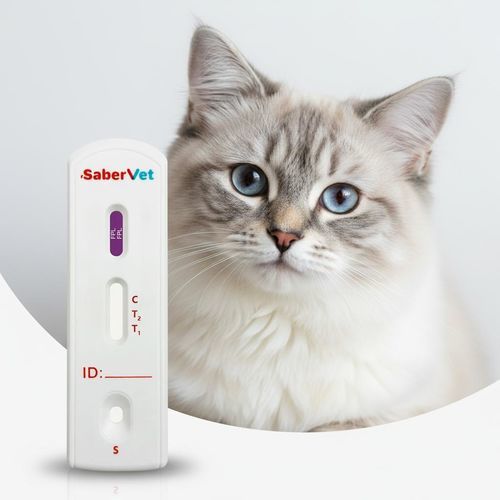炎症性肠病快速诊断检测 - Sabervet FPL - Hangzhou Antigenne Technology Co. Ltd - 兽用 / 用于猫科动物 / 脂肪酶