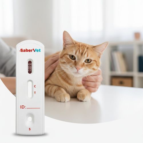 兽用快速诊断检测 - SaberVet F.ANA - Hangzhou Antigenne Technology Co. Ltd - 传染病 / 用于猫科动物 / 抗体