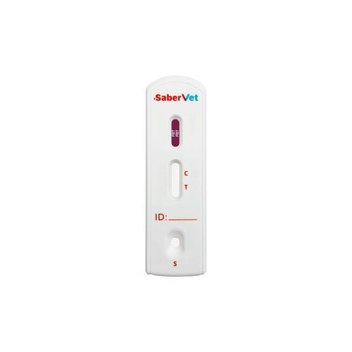 诊断快速诊断检测 - F-BT(A+B) - Hangzhou Antigenne Technology Co. Ltd - 血型 / 兽用 / 用于猫科动物
