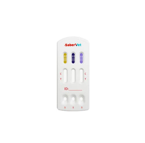 犬瘟热快速诊断检测 - 1091762410 - Hangzhou Antigenne Technology Co. Ltd - 兽用 / 用于犬类 / 抗原