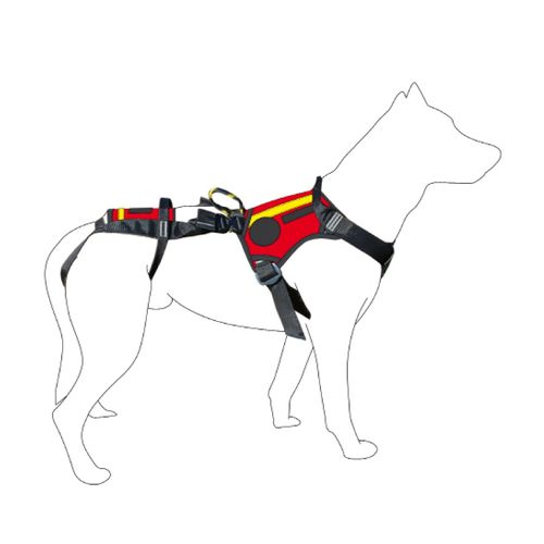 兽用吊带 - SALVATEX  - Dimatex Securite SARL - 犬用