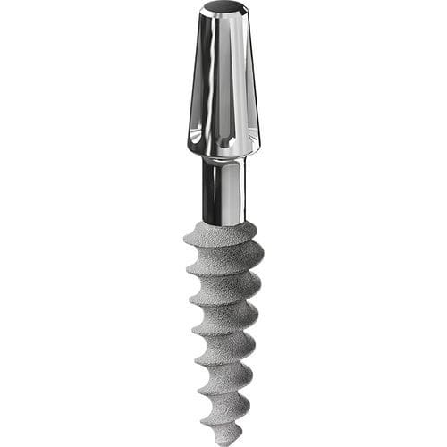 锥形牙齿植入物 - D-77 - DENTAL TECH S.R.L. - 钛 / 窄 / 一件式