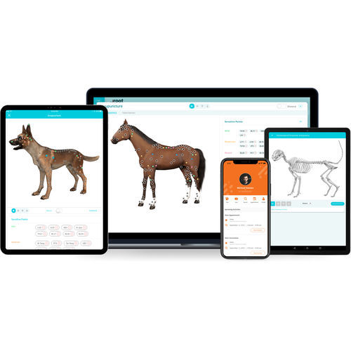 医疗管理软件 - AcuroVet® - ArcNovo Tech - 医用 / PET / 兽用