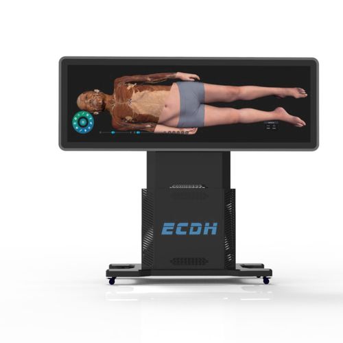 教学解剖台 - ECDH-Int II 88 - Shandong Digihuman Technology CO., Inc. - 虚拟解剖 / 移动式 / 电动