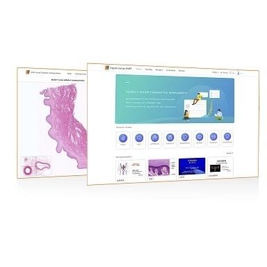 教学用软件 - Shandong Digihuman Technology CO., Inc. - 导航 / 解剖学 / 用于组织病理实验室