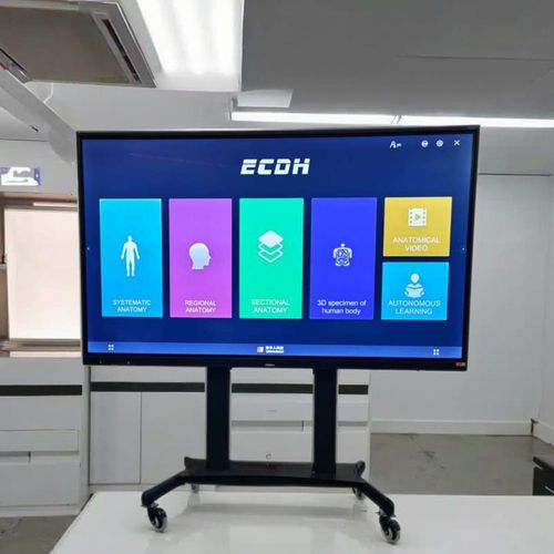 病人信息娱乐终端 / 多触点触摸屏 - ECDH-Int 86 - Shandong Digihuman Technology CO., Inc.