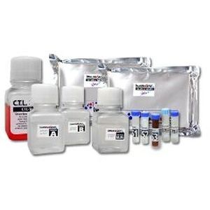 溶液试剂 - B-Poly-S™ - Cellular Technology Limited - IgG / 细胞分化 / IgA