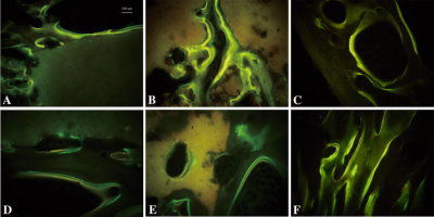 生长因子试剂 - PR27023 - Neuromics - 用于科研 / 冻干 / BMP-2