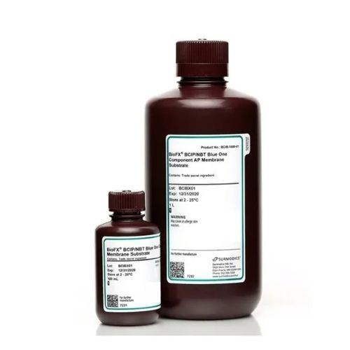 酶试剂 - BCIB-0100-01 - Surmodics IVD, Inc. - 蛋白质印迹
