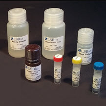 研究快速诊断套装 - LS-K289 - LifeSpan BioSciences - 乳糖不耐受 / 用于食品 / 荧光