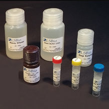 研究快速诊断套装 - LS-K297 - LifeSpan BioSciences - 药品研制用 / AST / NAD