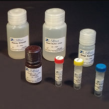 研究快速诊断套装 - LS-K302 - LifeSpan BioSciences - 药品研制用 / 甘油 / 甘油三酯
