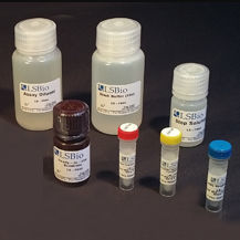 肌酸激酶快速诊断套装 - LS-K311 - LifeSpan BioSciences - 用于研究 / 药理学 / 肌酸磷酸激酶