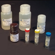 胆固醇快速诊断套装 - LS-K304 - LifeSpan BioSciences - 用于研究 / 药理学 / NAD