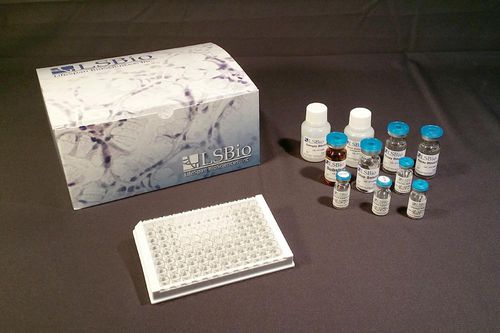 研究快速诊断套装 - LS-F15899 - LifeSpan BioSciences - ELISA / 冻干 / 定制