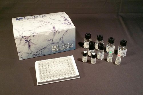 研究快速诊断套装 - LS-F24344 - LifeSpan BioSciences - 血清 / 等离子 / 细胞