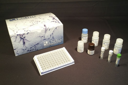 研究快速诊断套装 - LS-F54458 - LifeSpan BioSciences - 血清 / 等离子 / 组织