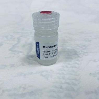 溶液试剂 - RPU40002 - Biomatik - 用于研究 / 冻干 / 蛋白质