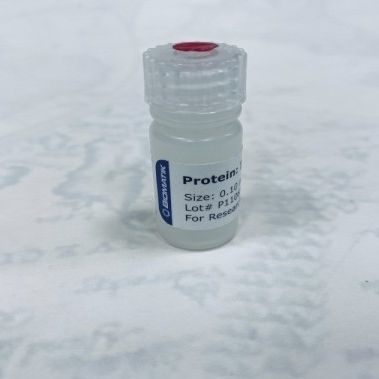 溶液试剂 - RPU40004 - Biomatik - 用于研究 / 冻干 / 蛋白质
