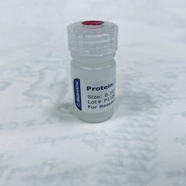 溶液试剂 - RPU40009 - Biomatik - 用于研究 / 免疫分析 / 冻干