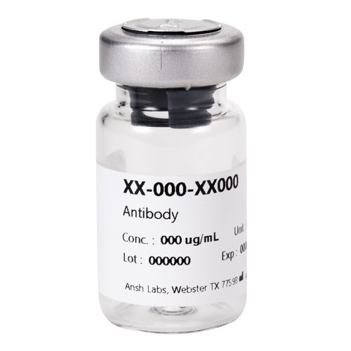 单克隆抗体试剂 - AB-306-AA042 - Ansh Labs - 活化素B / 用于研究 / 蛋白质印迹