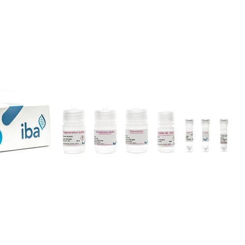 溶液试剂套装 - Strep-Tactin®XT  BLI  - IBA Lifesciences GmbH - 缓冲溶液 / 用于蛋白质分析