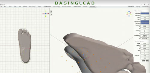 3D打印软件 - CAD/CAM Design Software - BASINGLEAD - 医用 / CAD / 矫正鞋垫设计