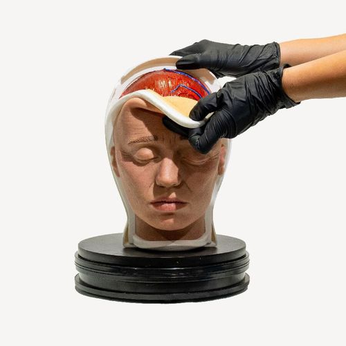 培训模拟器 - Relamed simulators - 手术 / 头部