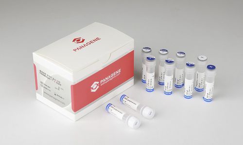 溶液试剂套装 - PANAMutyper™ R - HLB PANAGENE Co., Ltd. - 肺癌 / 铅 / 表皮生长因子受体