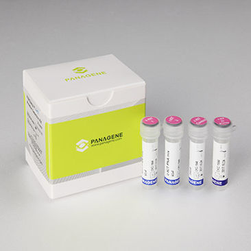 癌症快速诊断套装 - PNAClamp™ - HLB PANAGENE Co., Ltd. - 肿瘤科 / 组织 / 用于实时PCR