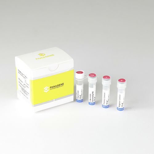 肺癌快速诊断检测 - PANAMutyper™ - HLB PANAGENE Co., Ltd. - EML4-ALK融合基因 / FFPE 织物