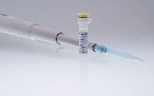 溶液试剂 - 4you4 - BIORON GmbH - dNTP溶液 / 脱氧核苷酸溶液 / PCR