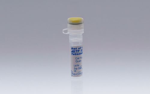 DNTP溶液试剂 - 110007 - BIORON GmbH - 脱氧核苷酸溶液 / PCR / 用于DNA排列