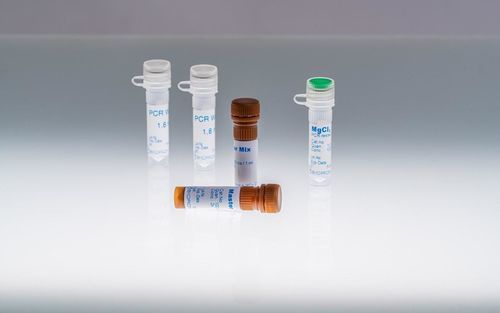 DNA聚合酶试剂 - GreenHot - BIORON GmbH - dNTP溶液 / 缓冲溶液 / qPCR
