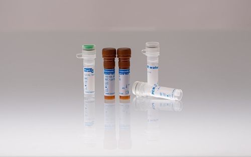酶试剂 - 128705 - BIORON GmbH - 溶液 / DNA聚合酶 / dNTP溶液