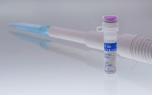 梯状DNA试剂 - 305020 - BIORON GmbH - 实验室 / 电泳 / DNA分析