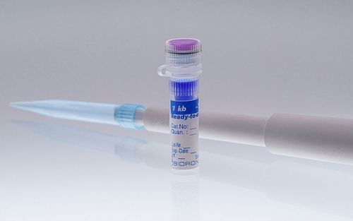 梯状DNA试剂 - 305120 - BIORON GmbH - 加载缓冲区 / 电泳 / DNA分析