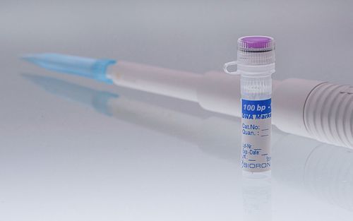 梯状DNA试剂 - 304120 - BIORON GmbH - 电泳 / 诊断 / DNA分析