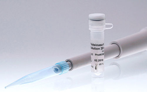 酶试剂 - 405102 - BIORON GmbH - 溶液 / 蛋白酶K / 用于微生物学