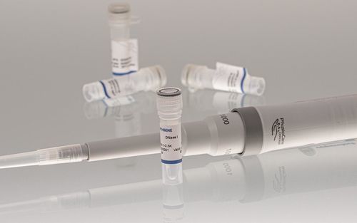酶试剂 - 10211 series - BIORON GmbH - RNA 提纯 / DNA清理 / 用于RNA合成