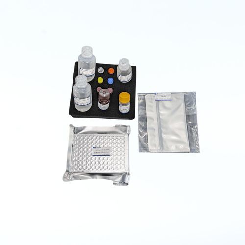 研究快速诊断套装 - RI0001 - BIORON GmbH - 质量控制 / 免疫分析 / ELISA