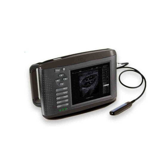 兽医超声波检查仪 / 手持式 - EC6 - E-Care Medical - 多功能 / 马科动物 / 用于犬类