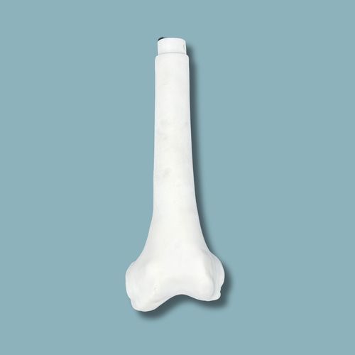 股骨解剖模型 - 05-09-02 - ADDIDREAM - 手术 / 培训 / 塑料