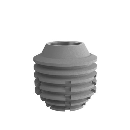 锥形牙齿植入物 - 3.0 Well  - DentalMaster (Xiamen) Medical Technology Co., Ltd - 钛 / 内部 / 短