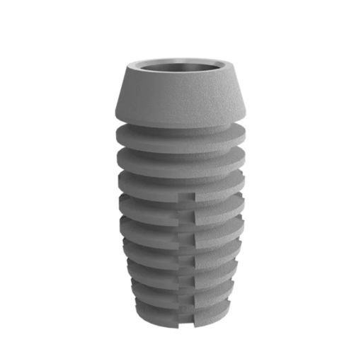 锥形牙齿植入物 - 2.5 well  - DentalMaster (Xiamen) Medical Technology Co., Ltd - 钛 / 内部 / 解剖型