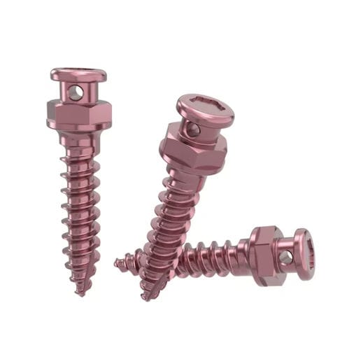 钛微型植入物 - 70183 series - DentalMaster (Xiamen) Medical Technology Co., Ltd - 直线型 / 螺杆 / 正畸锚固