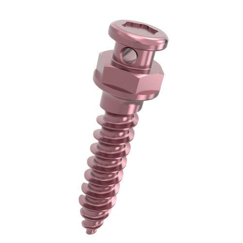 钛微型植入物 - 701831 series - DentalMaster (Xiamen) Medical Technology Co., Ltd - 锥形 / 直线型 / 螺杆