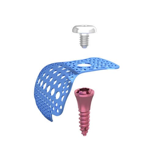 钛贯穿螺丝 - DentalMaster (Xiamen) Medical Technology Co., Ltd - 螺杆 / 光滑