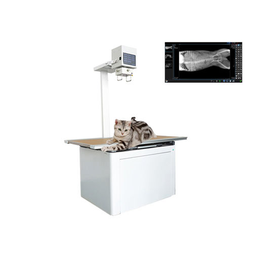 兽用放射线成像系统 / 数字 - Shandong Newheek Image Equipment - 带有检查台